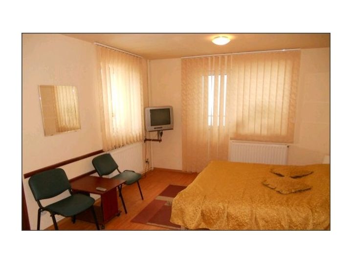 Pensiunea Casa Ryana, Sinaia - imaginea 