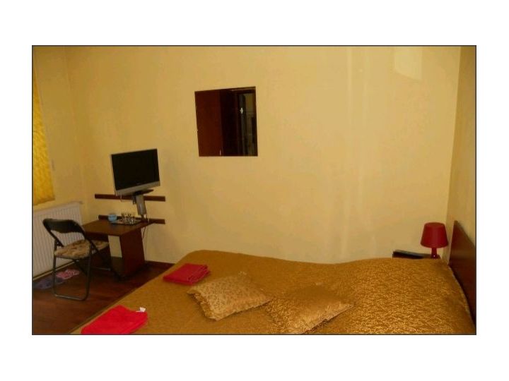 Pensiunea Casa Ryana, Sinaia - imaginea 