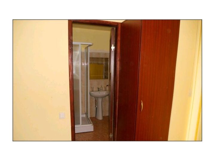 Pensiunea Casa Ryana, Sinaia - imaginea 