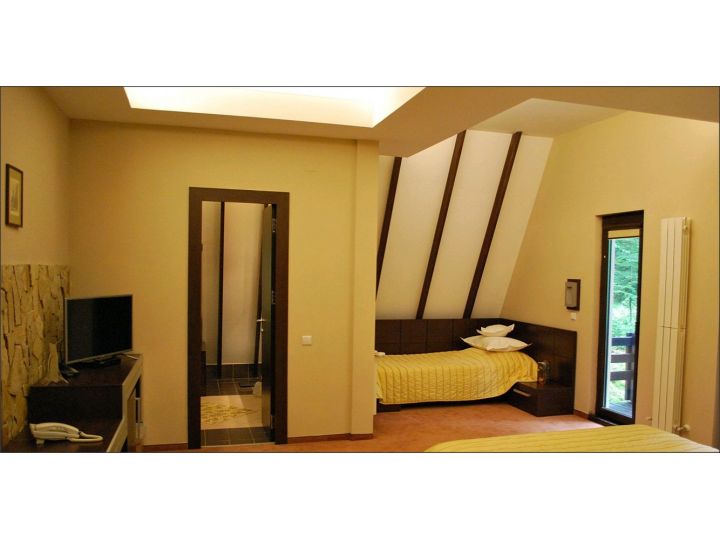 Vila Casa Teo, Sinaia - imaginea 
