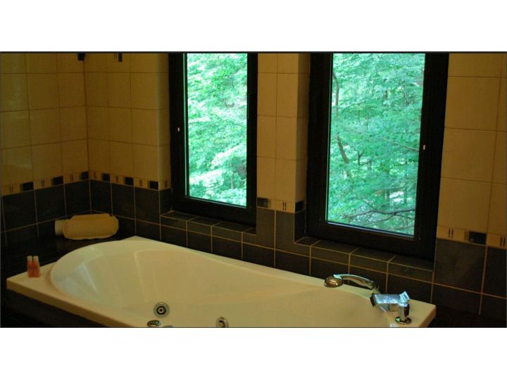 Vila Casa Teo, Sinaia - imaginea 