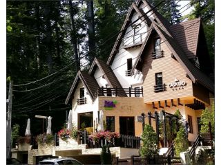 Vila Casa Teo, Sinaia - 2