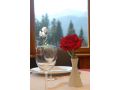 Hotel Cumpatu, Sinaia - thumb 25