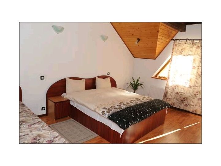 Pensiunea Eliza, Sinaia - imaginea 