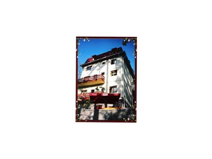 Vila Felix, Sinaia - imaginea 