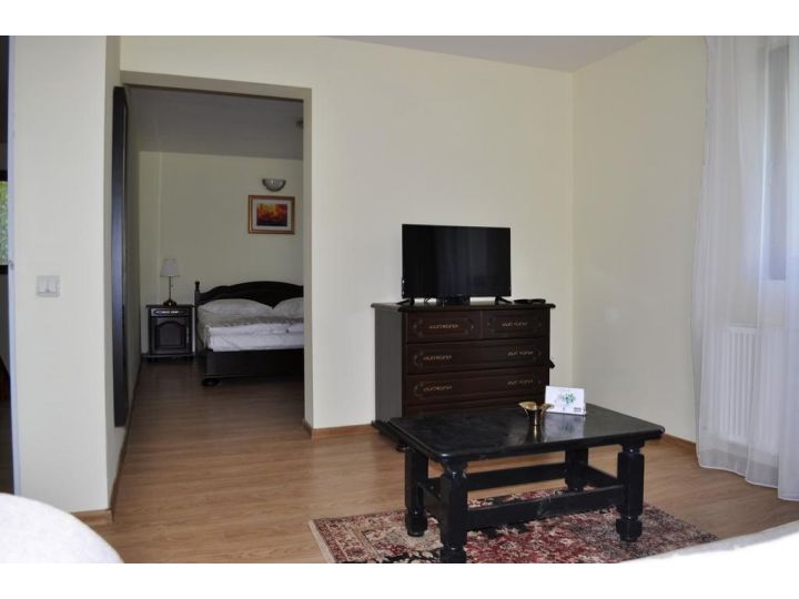Vila Felix, Sinaia - imaginea 