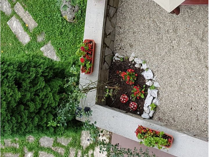 Vila Felix, Sinaia - imaginea 