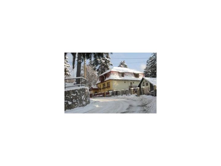 Vila Felix, Sinaia - imaginea 