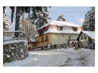 Vila Felix, Sinaia - 2