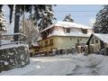 Vila Felix, Sinaia - thumb 2
