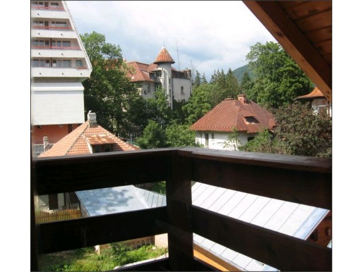 Pensiunea La Cristina, Sinaia - imaginea 