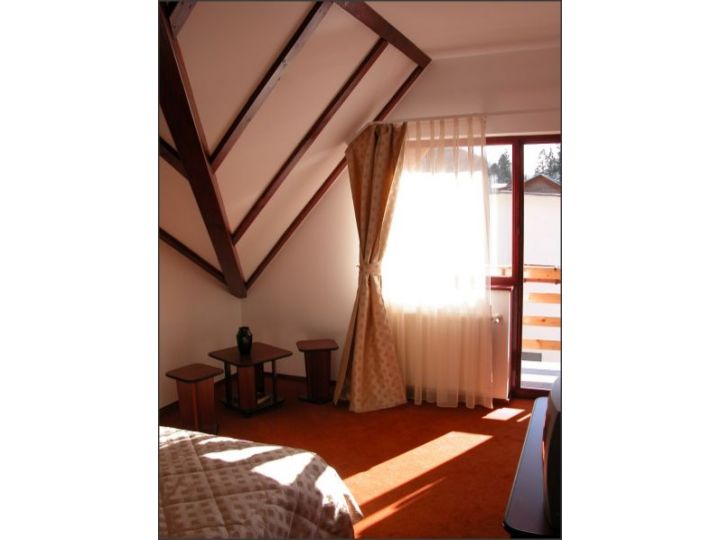 Pensiunea Marina, Sinaia - imaginea 
