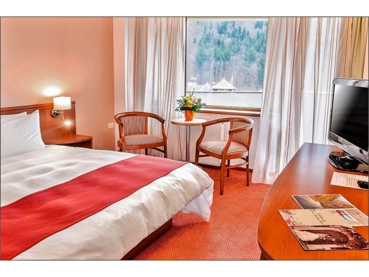 Hotel New Montana, Sinaia - imaginea 