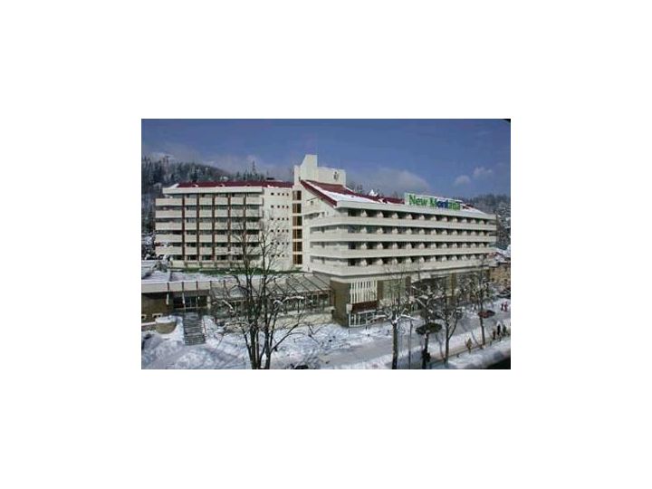 Hotel New Montana, Sinaia - imaginea 