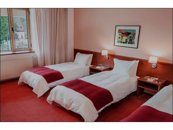 Hotel New Montana, Sinaia - imaginea 