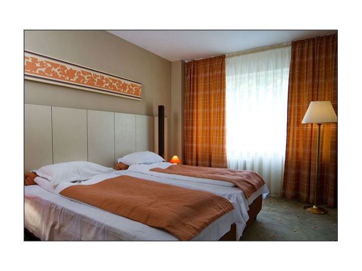 Hotel Rina, Sinaia - imaginea 