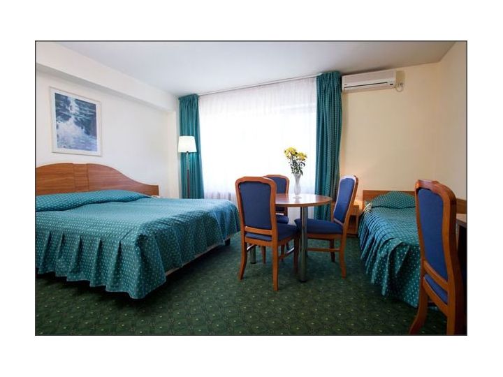 Hotel Rina, Sinaia - imaginea 