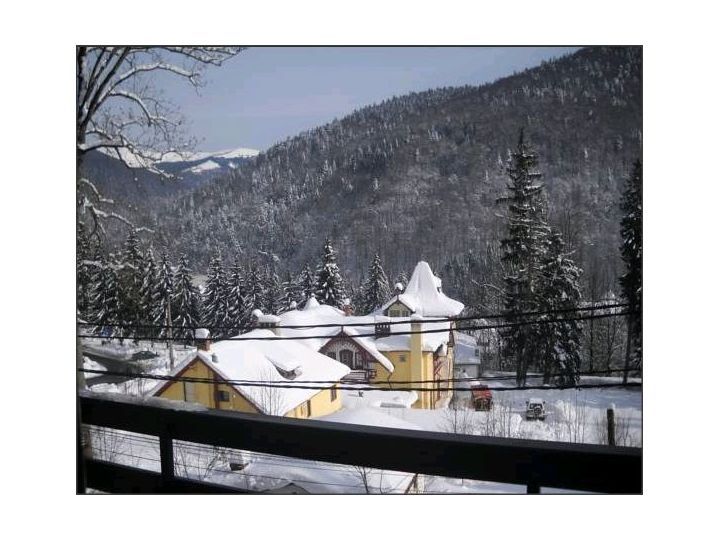 Hotel Silvia, Sinaia - imaginea 