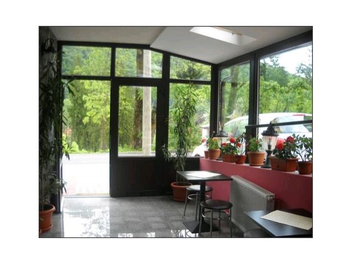 Hotel Silvia, Sinaia - imaginea 