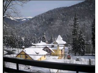 Hotel Silvia, Sinaia - 4