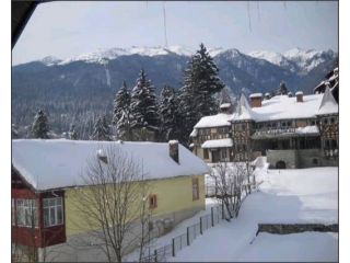 Hotel Silvia, Sinaia - 5