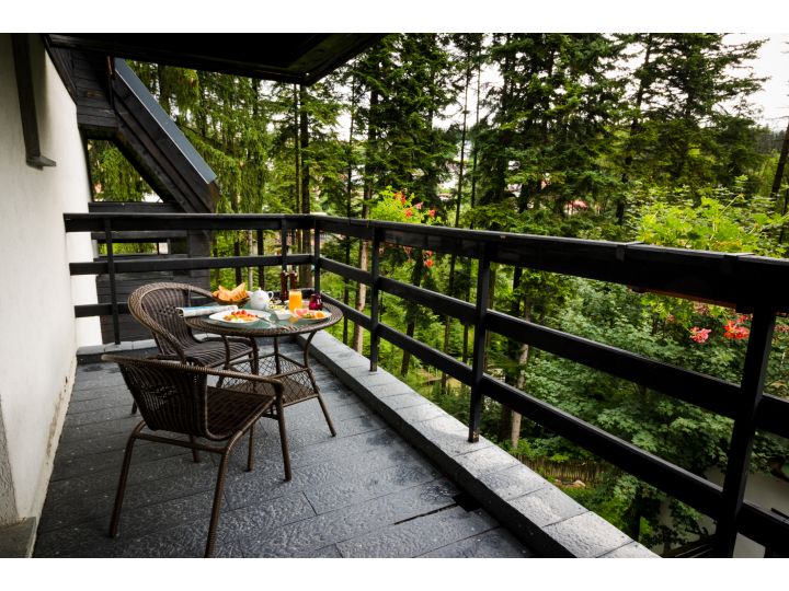 Hotel Smart, Sinaia - imaginea 