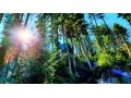 Hotel Smart, Sinaia - thumb 35