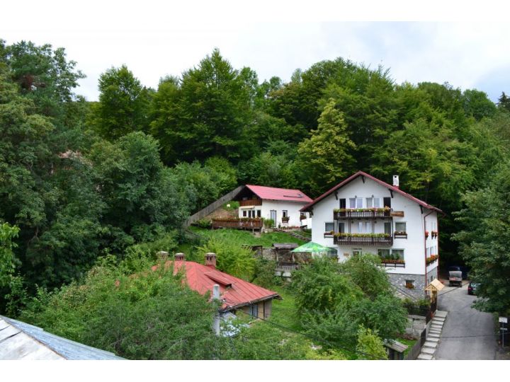 Pensiunea Thomas, Sinaia - imaginea 