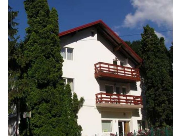 Pensiunea Tui, Sinaia - imaginea 
