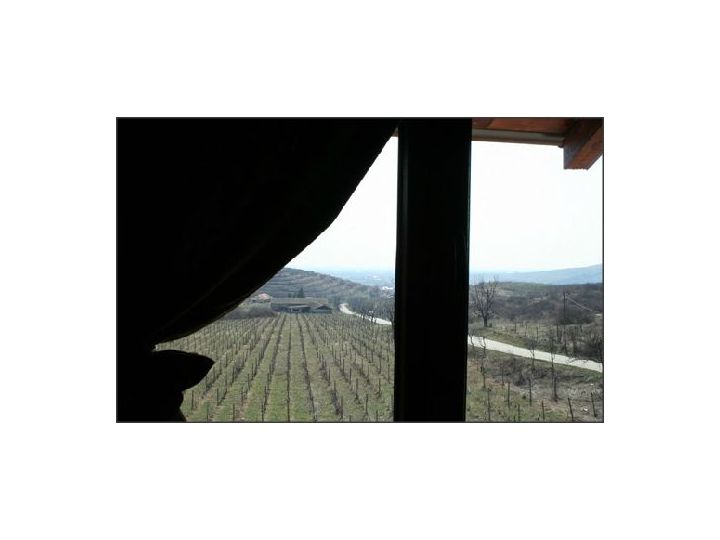 Hotel Casa Colinelor, Urlati - imaginea 