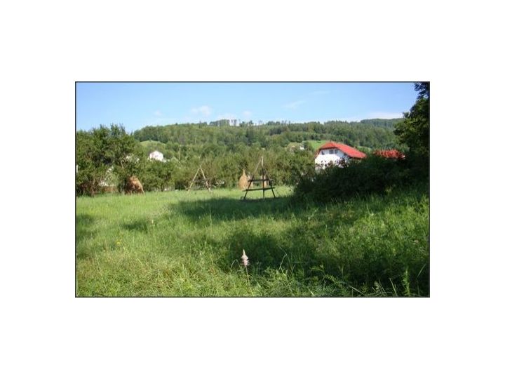 Pensiunea Popa's, Valea Doftanei - imaginea 