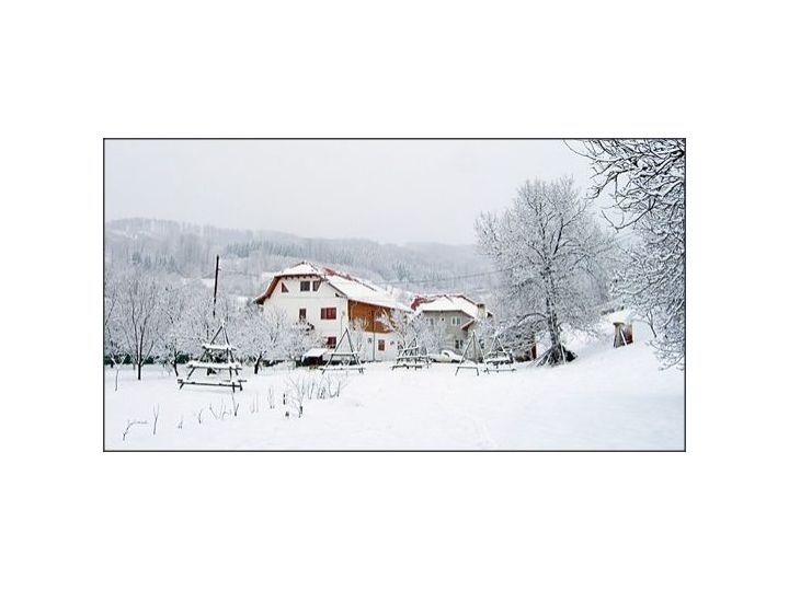 Pensiunea Popa's, Valea Doftanei - imaginea 