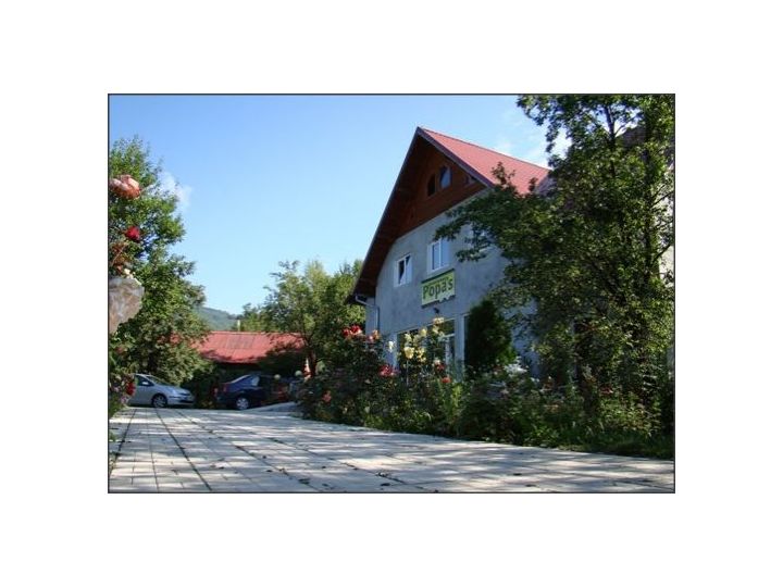 Pensiunea Popa's, Valea Doftanei - imaginea 