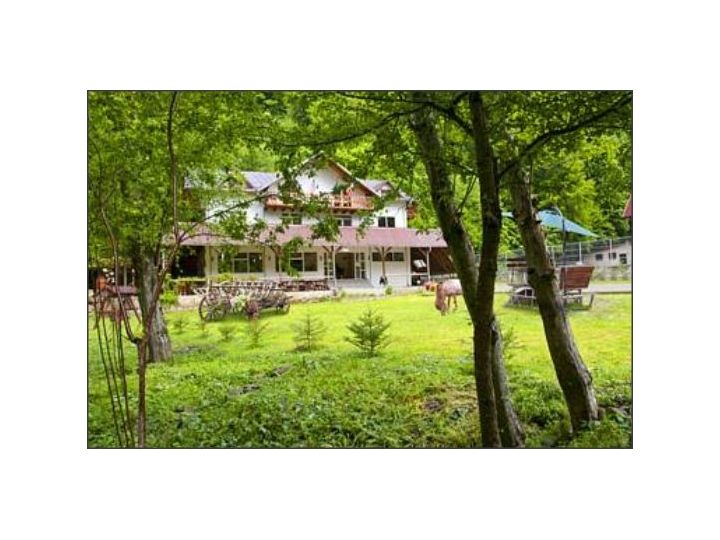Pensiunea Valea Negrasului, Valea Doftanei - imaginea 