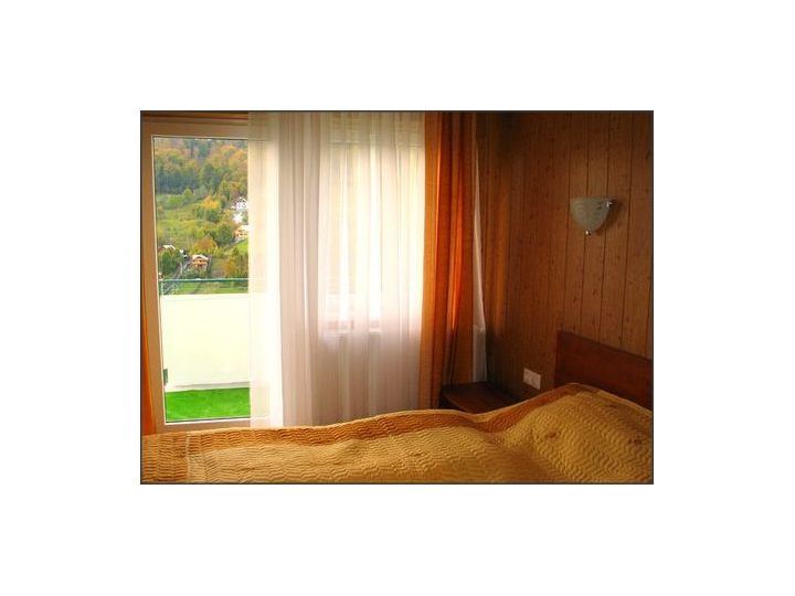Pensiunea Vila Verde, Valea Doftanei - imaginea 
