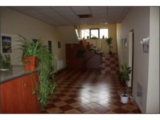 Cabana La Trei Brazi, Criseni - 5