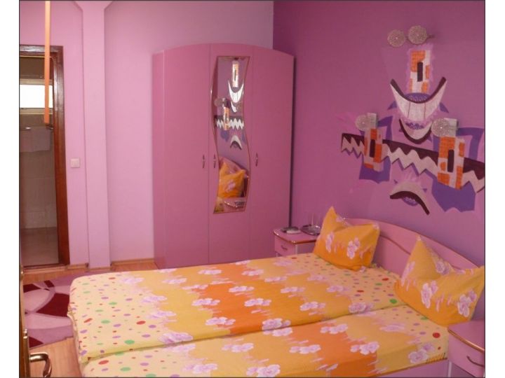 Pensiunea Casa Ando, Jibou - imaginea 