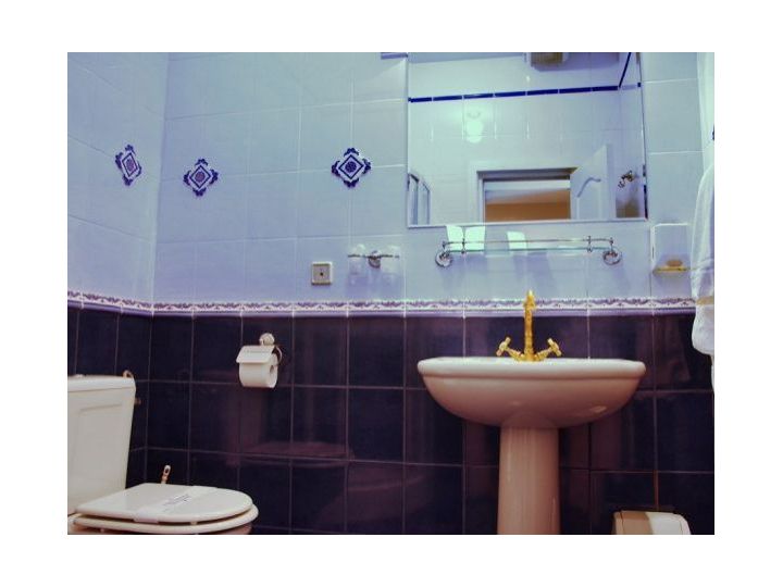 Vila Bodi, Satu Mare oras - imaginea 