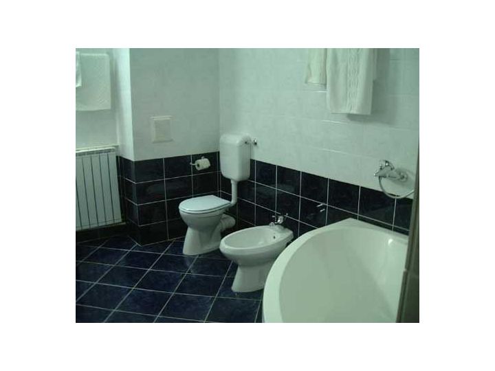 Hotel Dana, Satu Mare oras - imaginea 