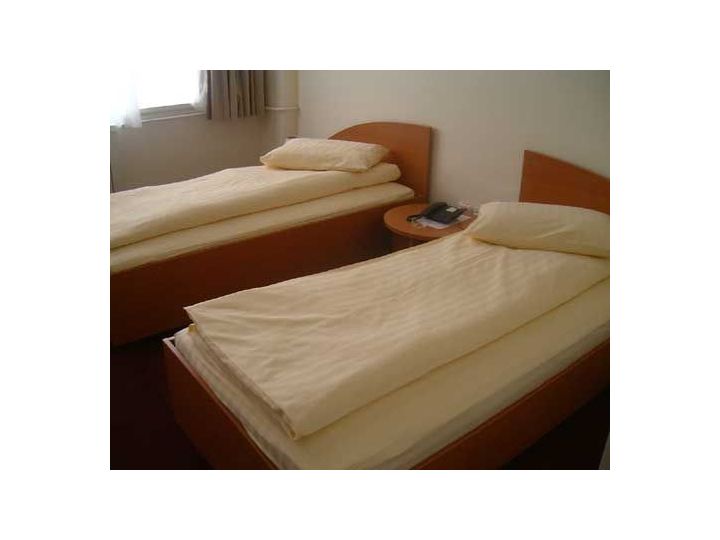 Hotel Dana, Satu Mare oras - imaginea 