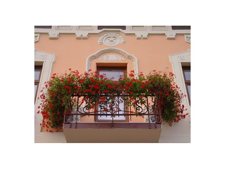 Hotel Dana 2, Satu Mare oras - imaginea