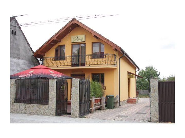 Vila Korona, Satu Mare oras