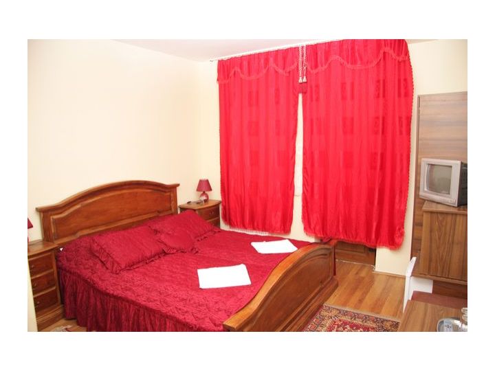 Vila Korona, Satu Mare oras - imaginea 