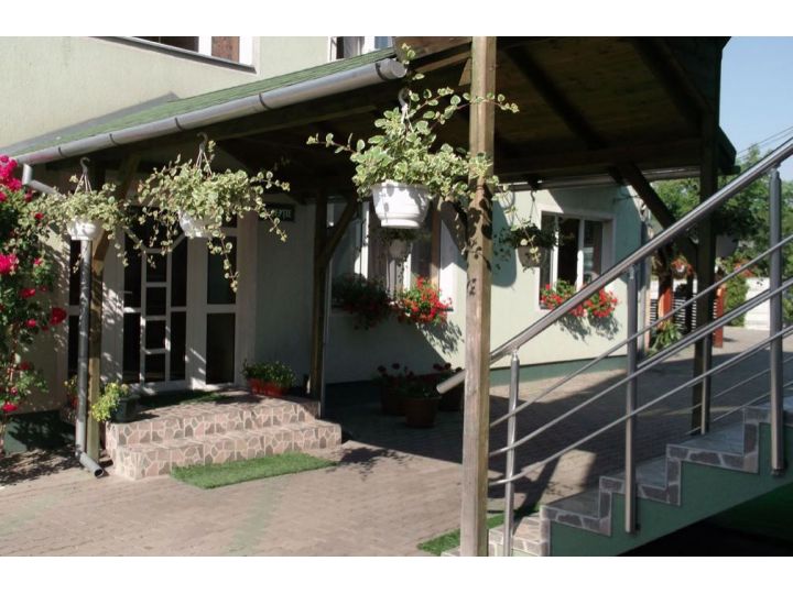 Hotel Perla, Satu Mare oras - imaginea 