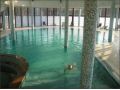 Hotel Valea Mariei, Vama Satu Mare - thumb 9