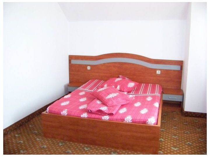 Motel La Trei Frati Vladut, Apoldu De Sus - imaginea 