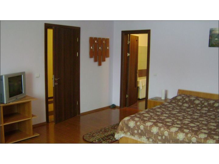 Pensiunea Casa Arpasana, Arpasu De Sus - imaginea 