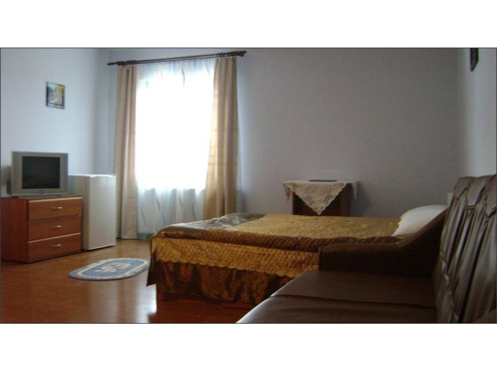 Pensiunea Casa Arpasana, Arpasu De Sus - imaginea 