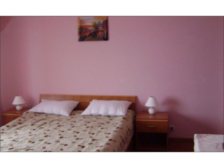 Pensiunea Casa Arpasana, Arpasu De Sus - imaginea 