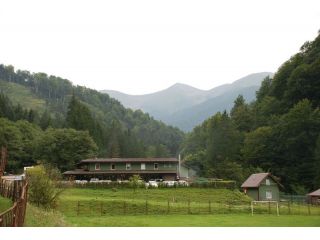 Pensiunea Poiana Neamtului, Avrig - 2